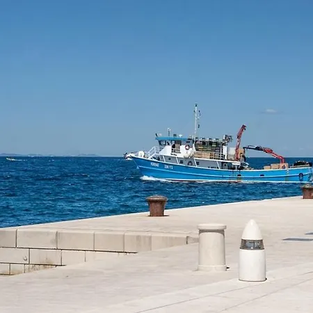 Oda ve Kahvaltı By The Sea Organ
