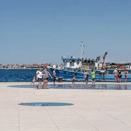 Frühstückspension By The Sea Organ